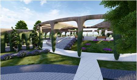 Paths through the planting towards the pergola