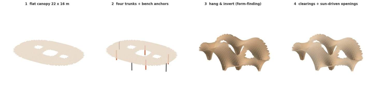 Version 1: flat canopy, four trunks, form-finding, sun-driven openings